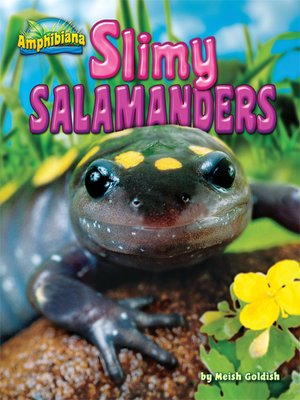 cover image of Slimy Salamanders